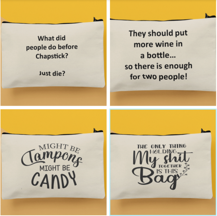 Smart and Sassy Zipper Bags for Purse or Tote