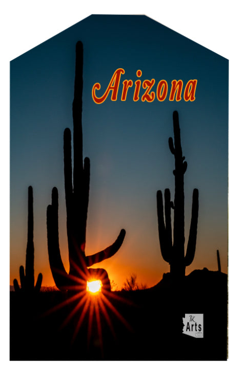 Saguaro Sunset Starburst Luggage Tag