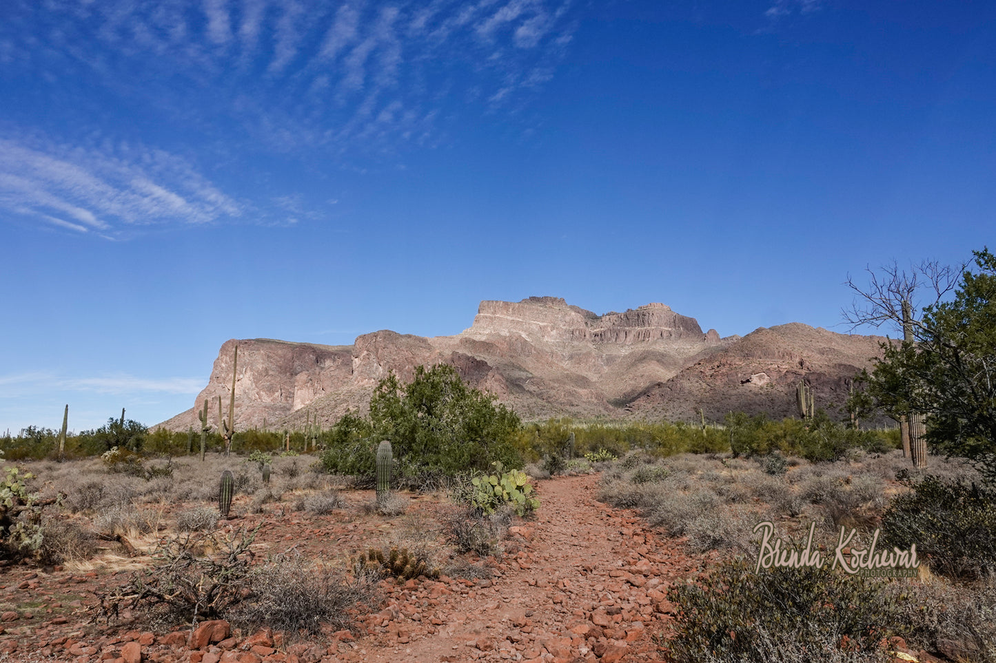 Superstition Mountain at Broadway Trailhead Mini Canvas 6”x4”
