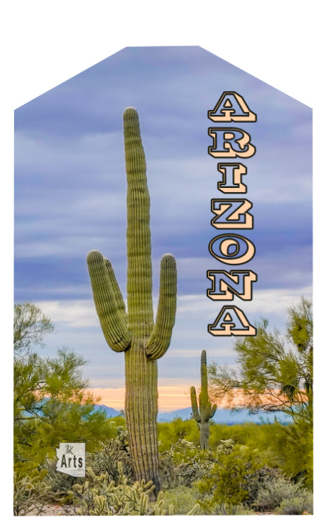 Saguaro Sunset Luggage Tag