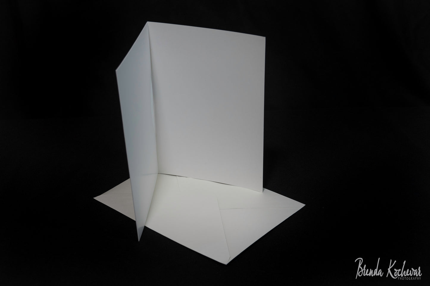 Lizard Face Greeting Card