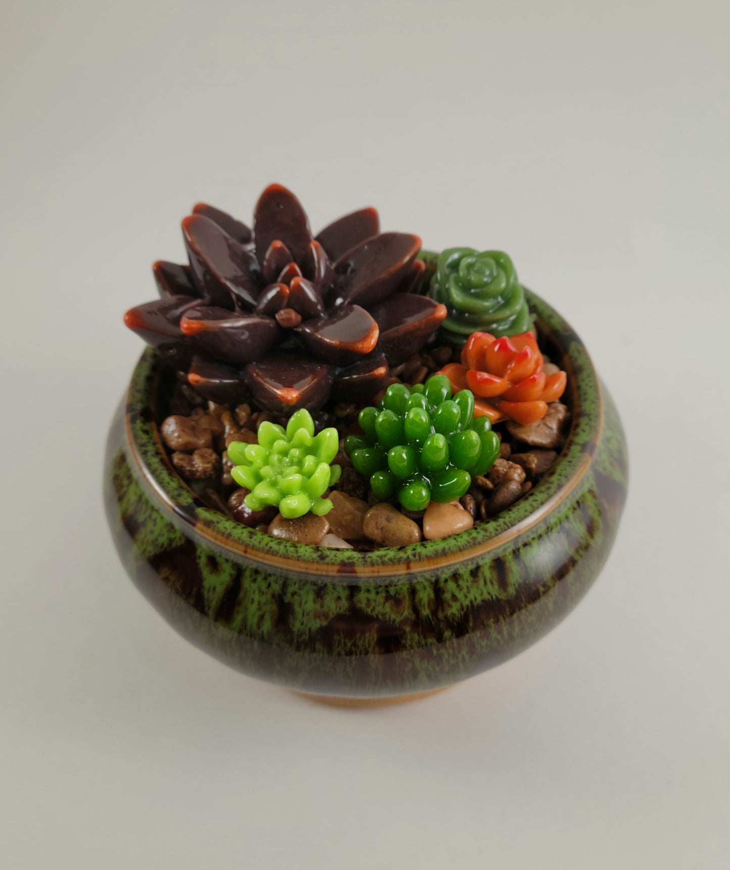 Potted Succulents