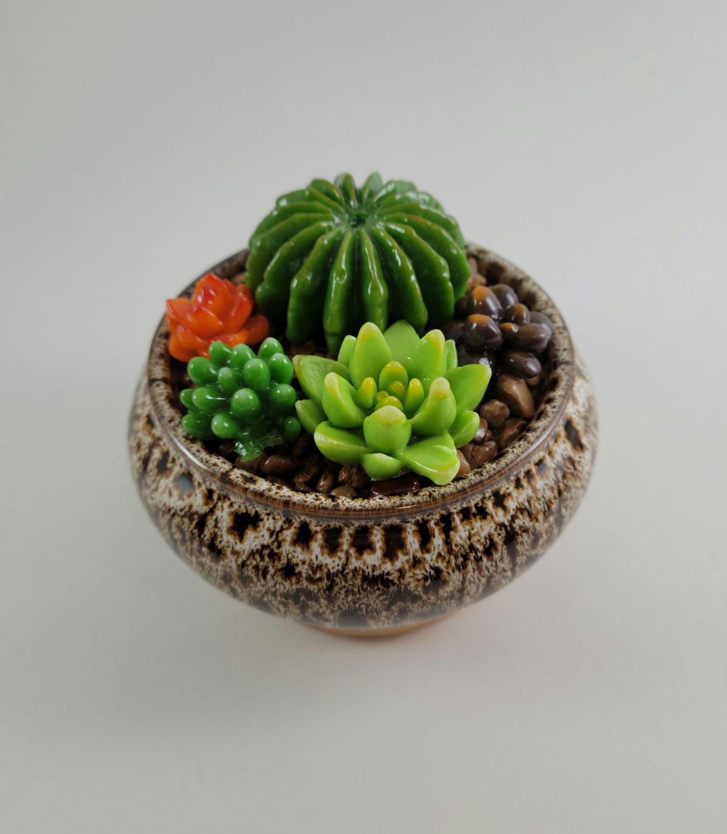 Potted Succulents
