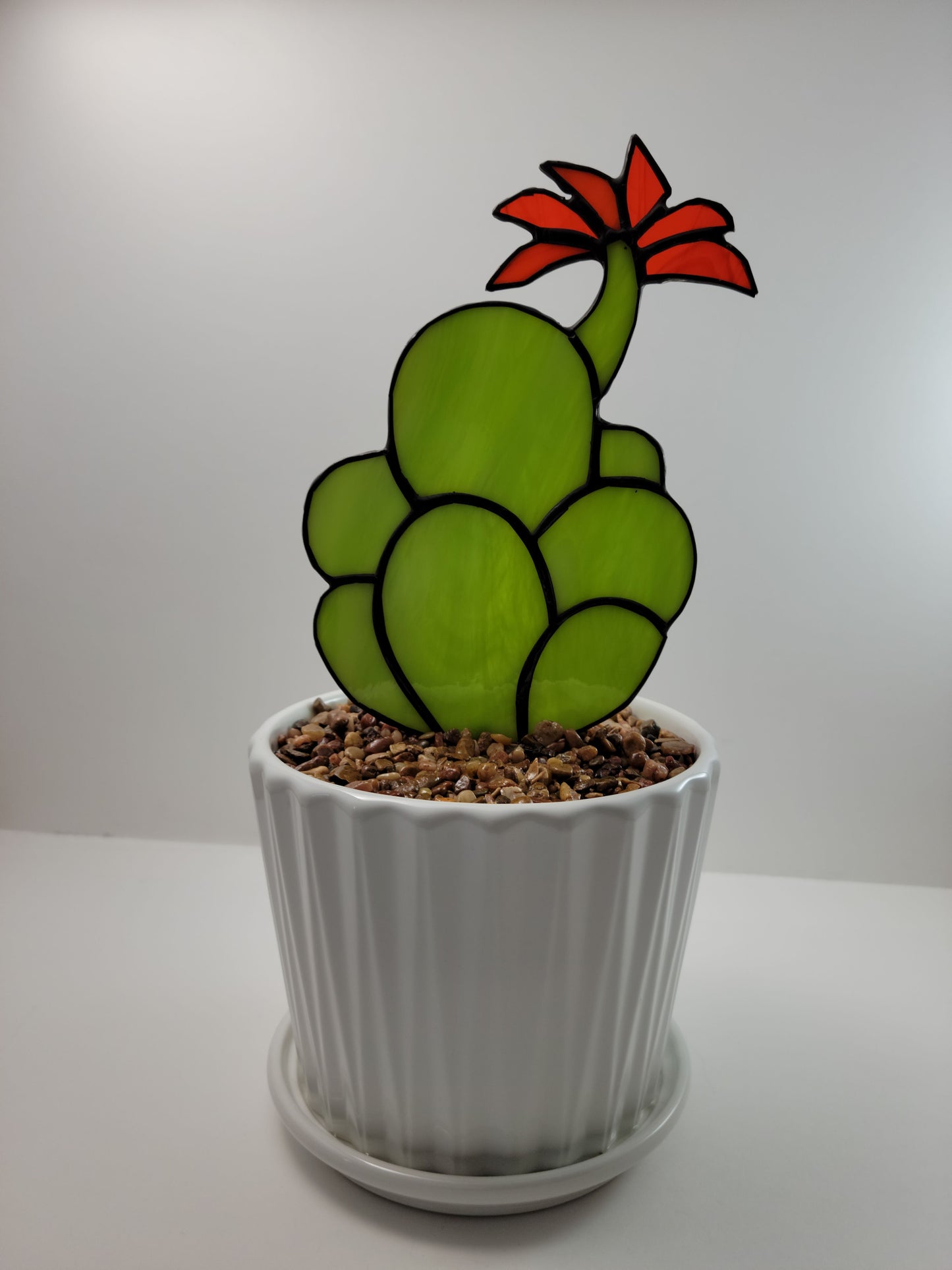 Potted Succulents
