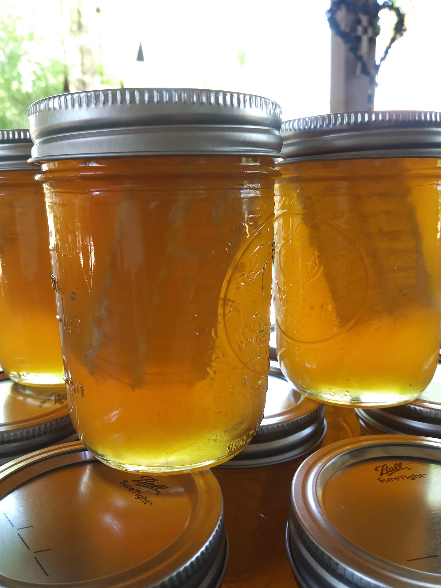 1/2 Pint Wildflower Honeycomb