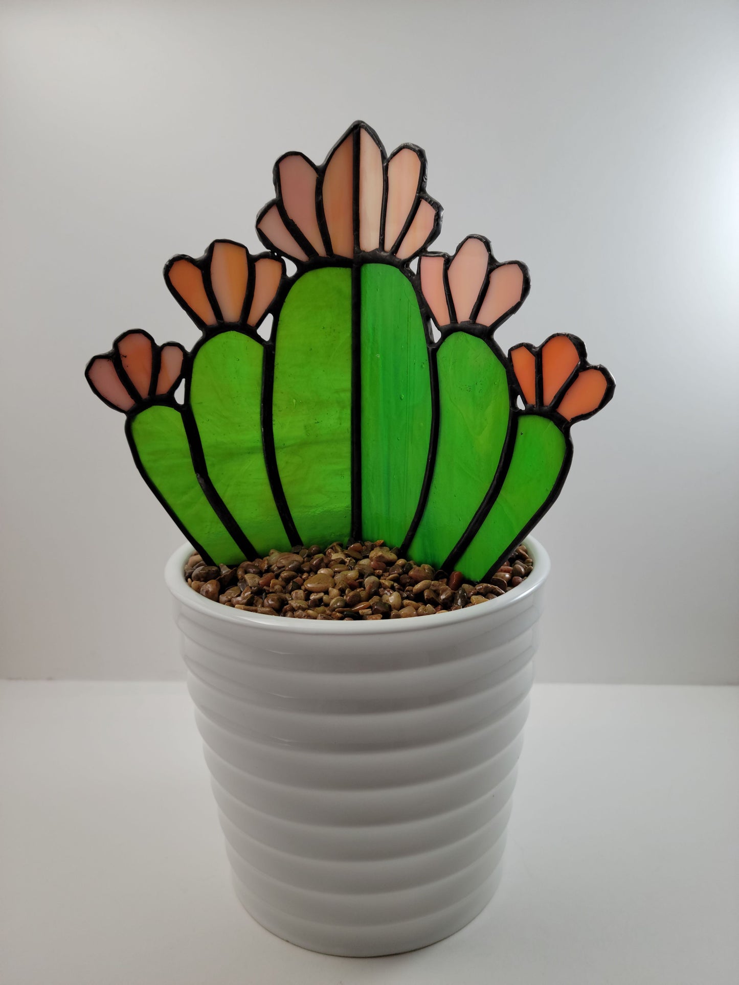 Potted Succulents - Large 3D Cactus