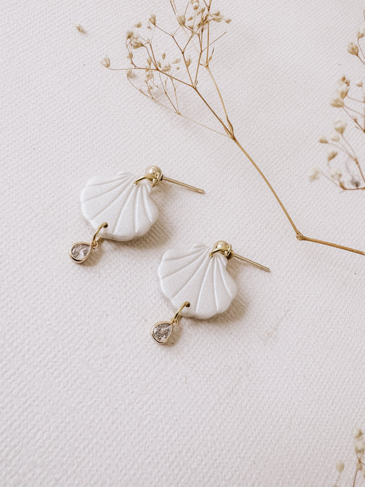 Sea Shell Drops-DesertReign