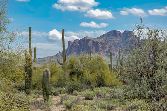 Desert Scene Superstition Mountain Greeting Card