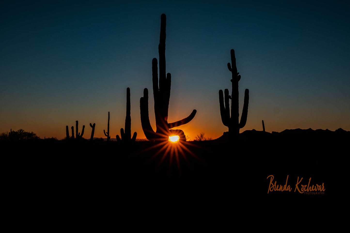 Saguaro Sunset Starburst 6"x4" Mini Canvas