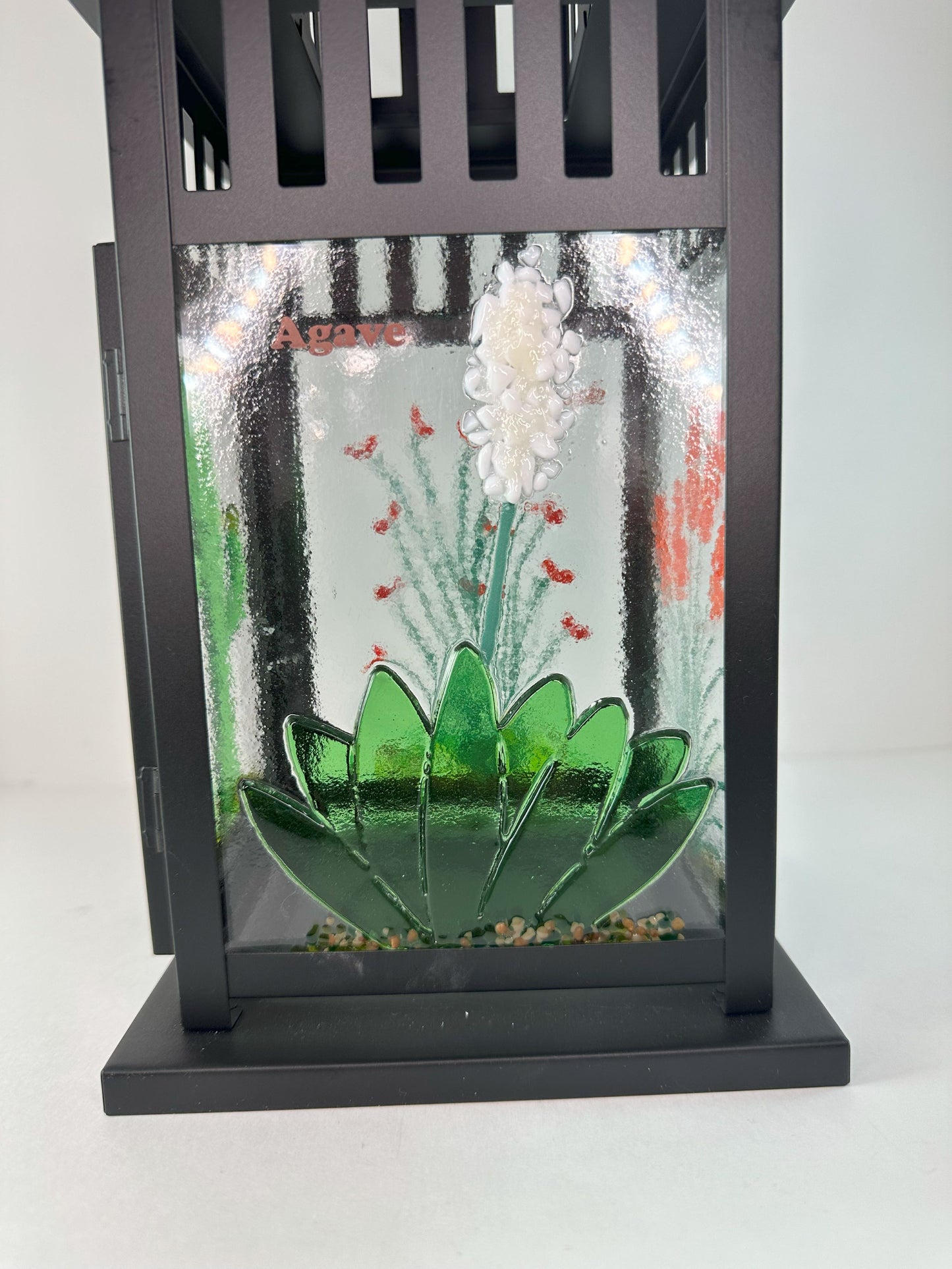 Lantern - Desert Plants