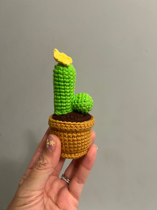 Cactus L.O.V.E set 4pcs