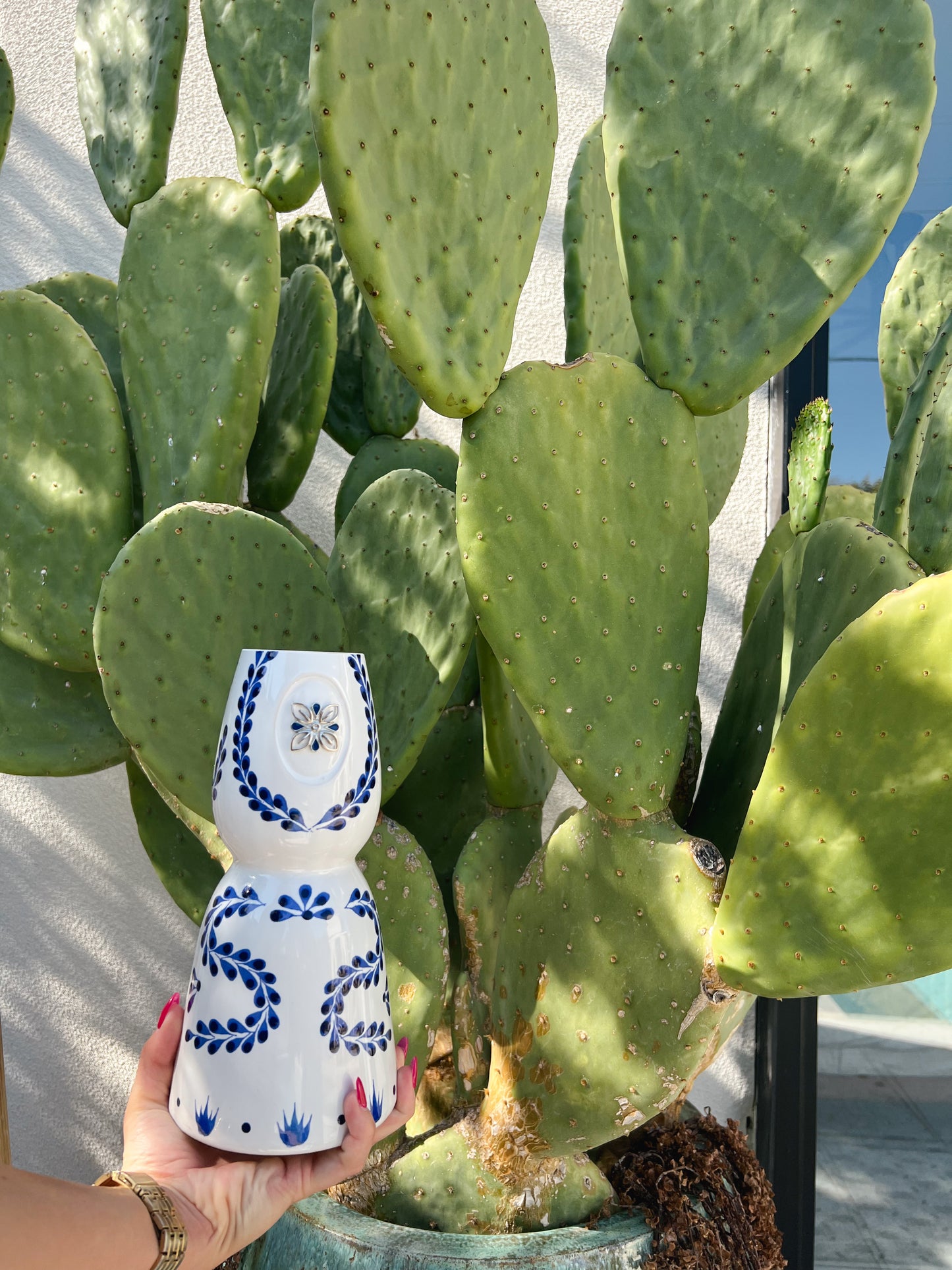 Recycled Clase - SCCo