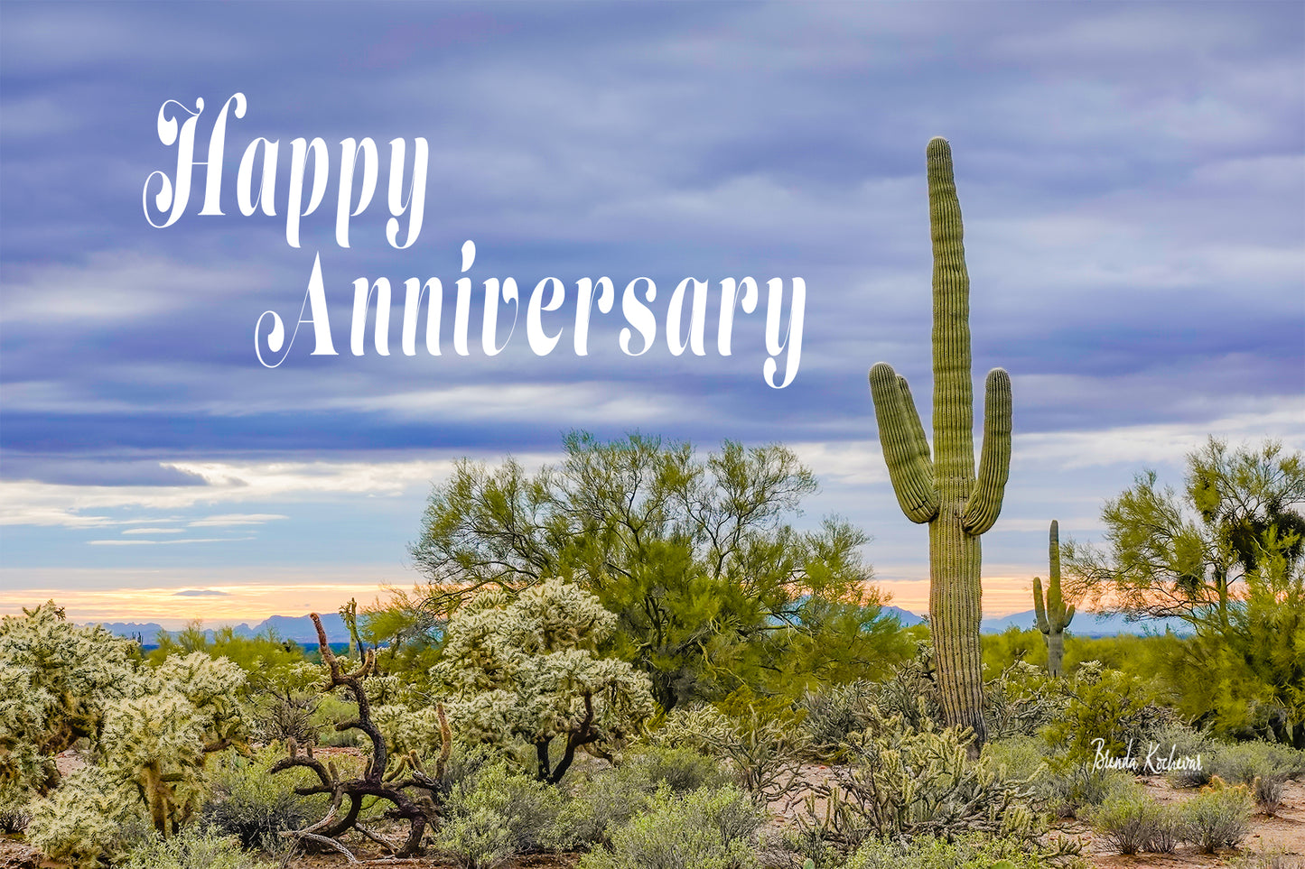 Sunset Saguaro Desert Scene Happy Anniversary Greeting Card