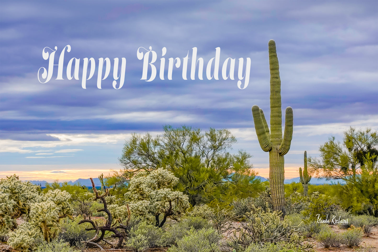 Sunset Saguaro Desert Scene Happy Birthday Greeting Card