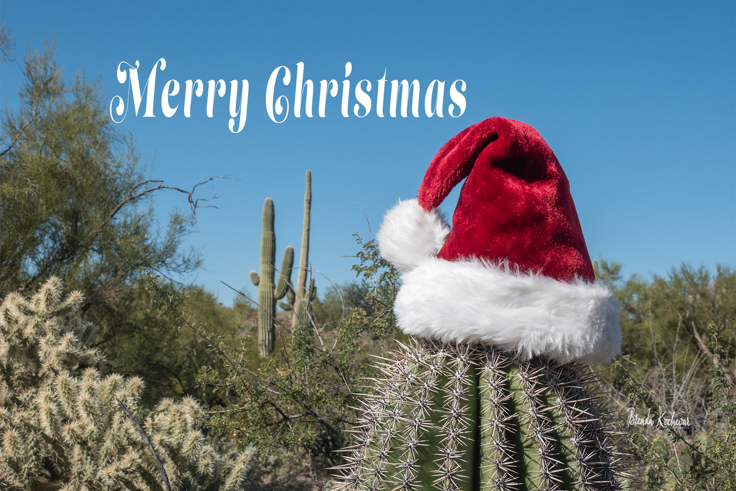 Merry Christmas Desert Christmas Greeting Card