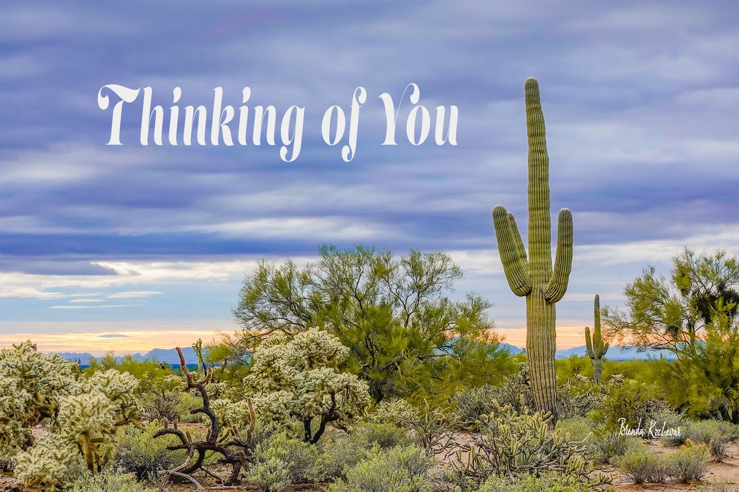 Sunset Saguaro Desert Scene Thinking of You Greeting Card