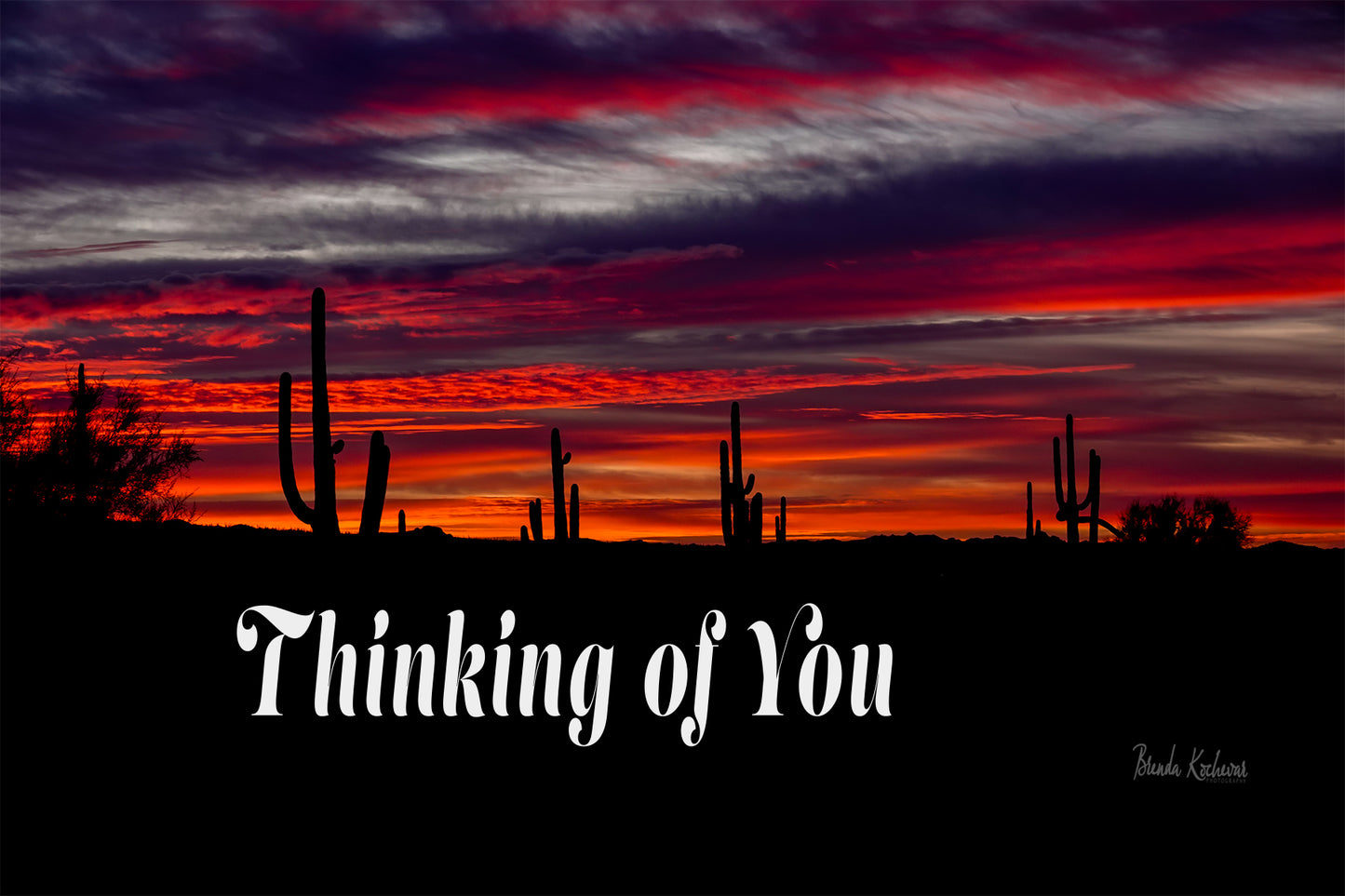 Arizona Saguaro Sunset Thinking of You Greeting Card