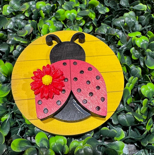Magnetic Insert - Lady Bug - STV
