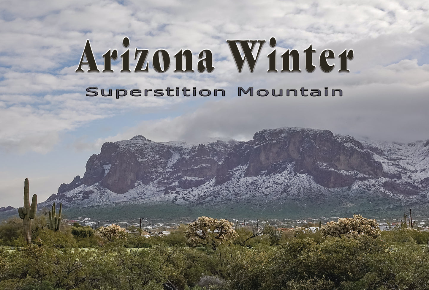 Cacti & Snowy Superstition Mountain Postcard