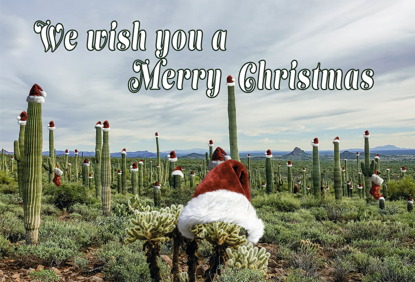 Merry Christmas from Arizona Postcard