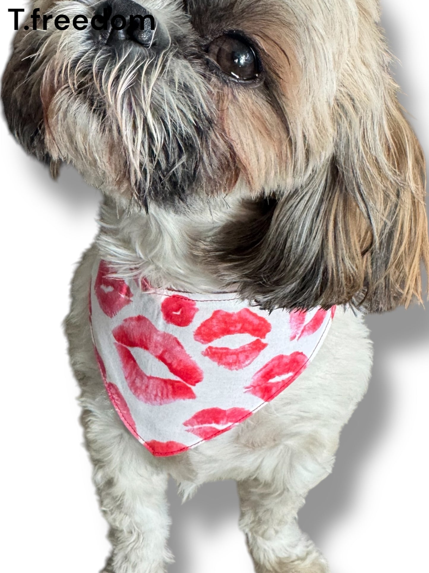 Kiss Me Quick Dog Bandana
