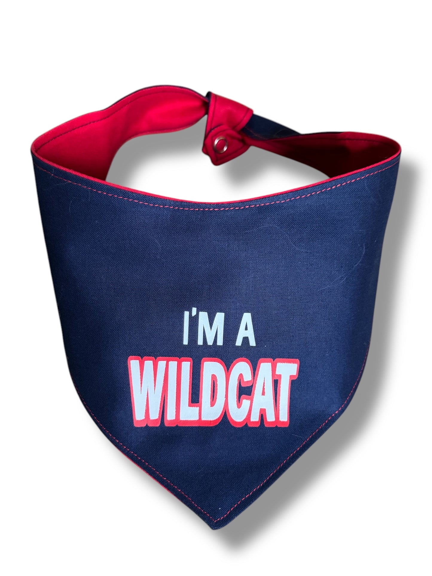 Hooman uofa bandana