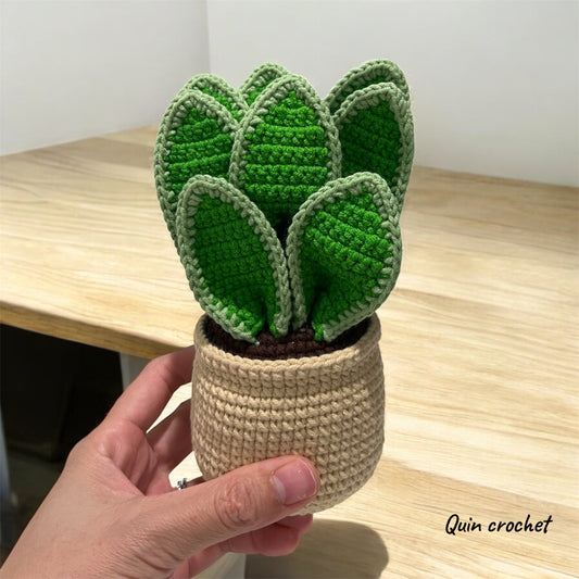 Crochet snake plant in pot