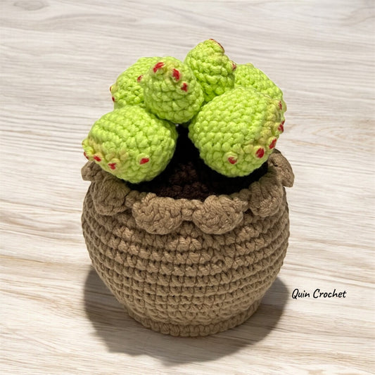 Crochet Bear paw succulent