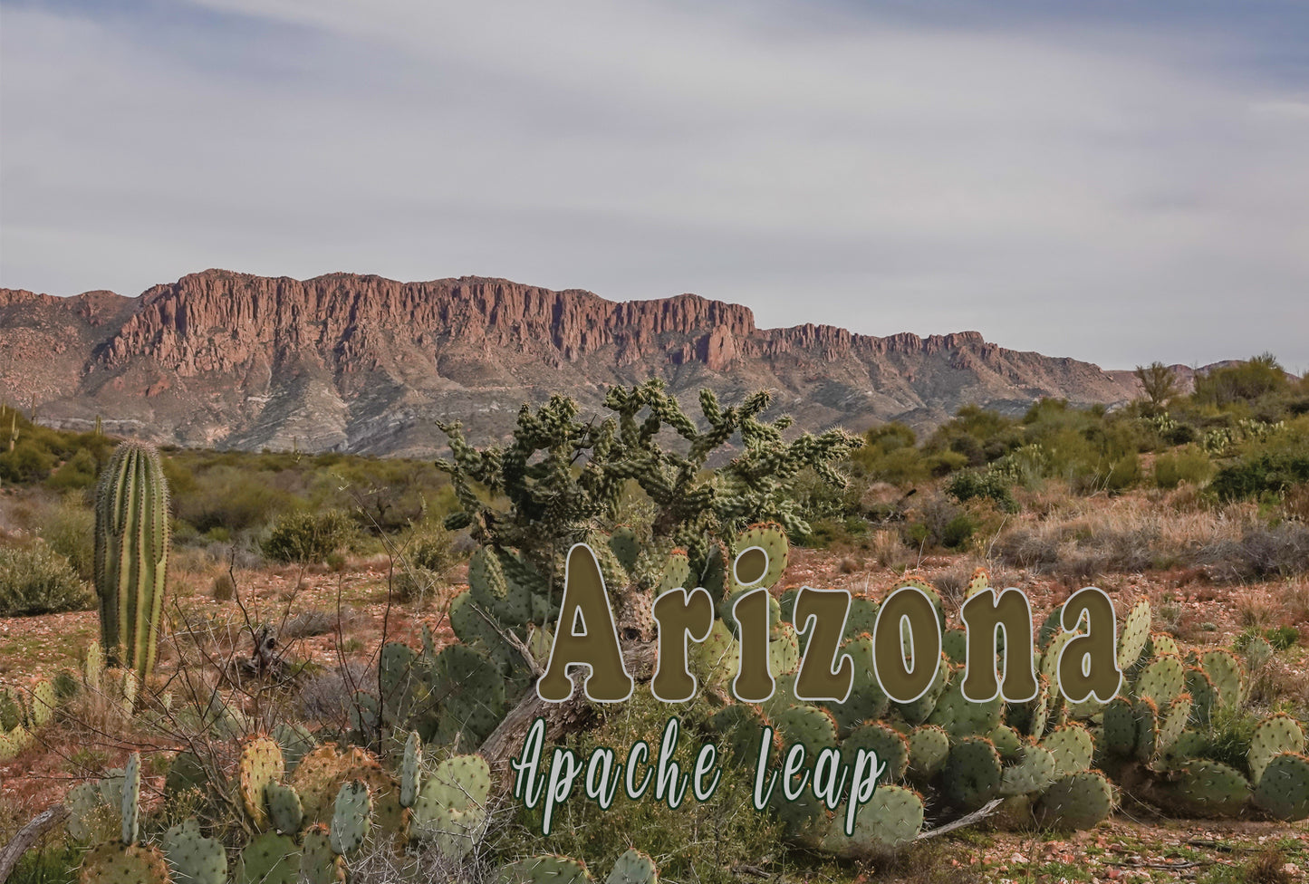 Apache Leap & Cacti Photograph on a Postcard