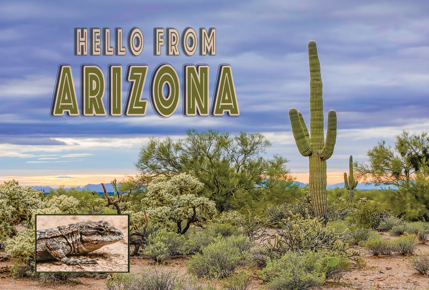 Hello From Arizona Saguaro Sunset Magnet