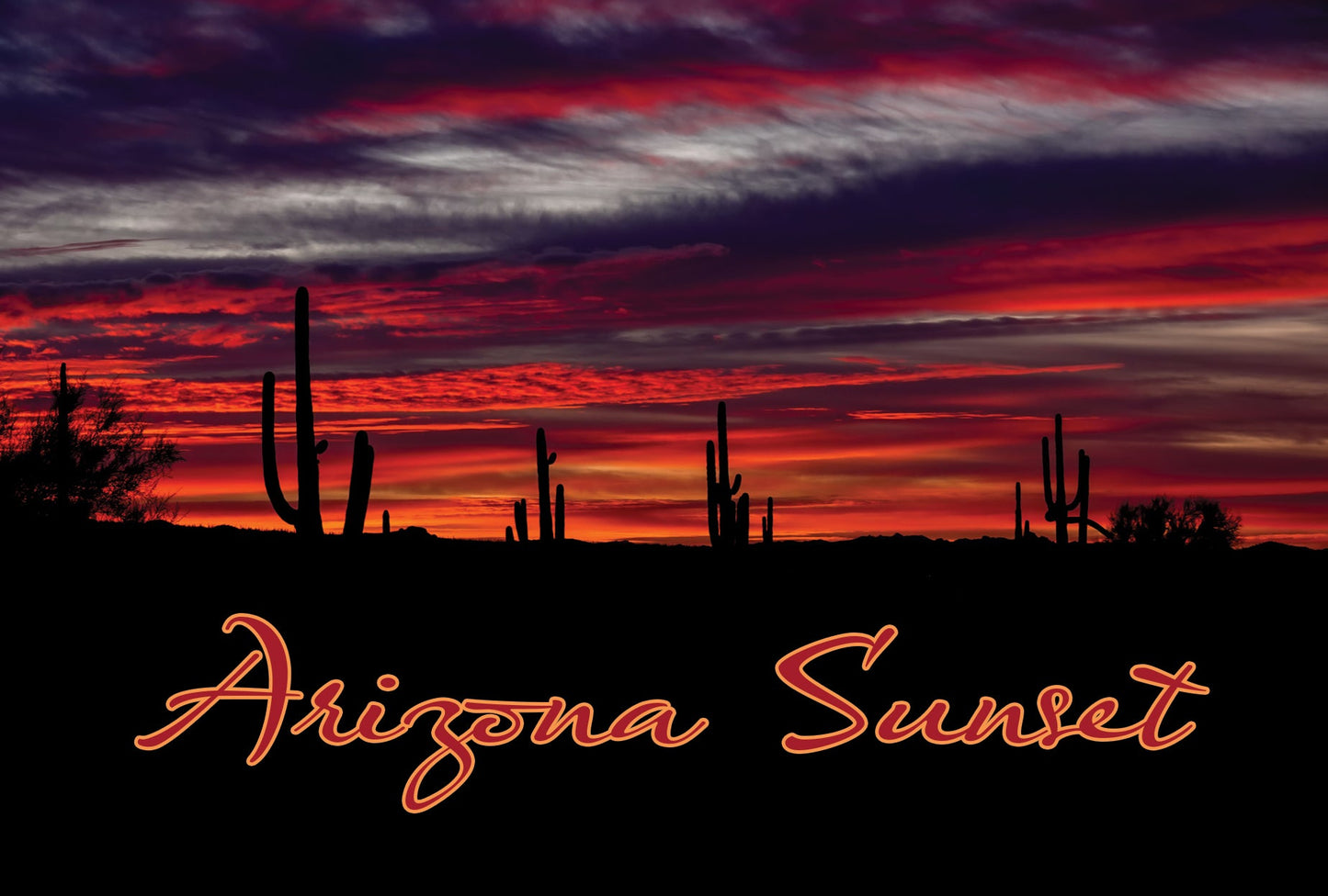 Arizona Saguaro Sunset Photograph on a Magnet