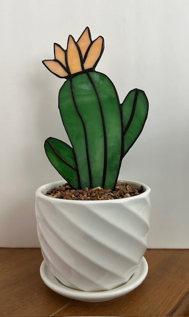 Potted Succulents - Saguaro Medium 5"