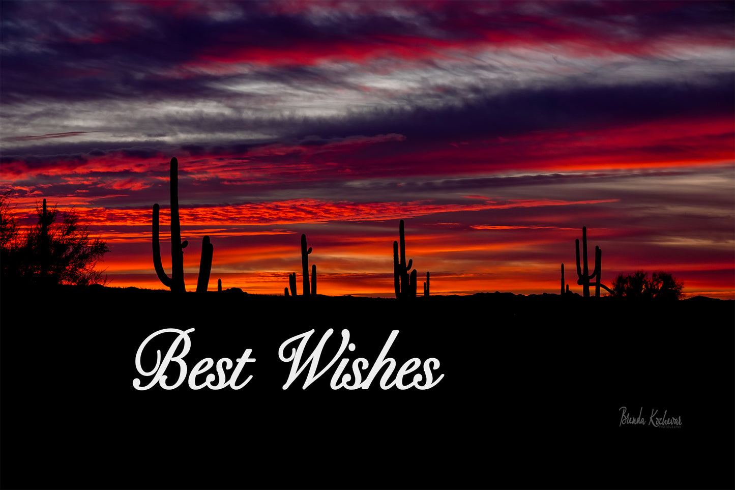 Arizona Saguaro Sunset Best Wishes Greeting Card
