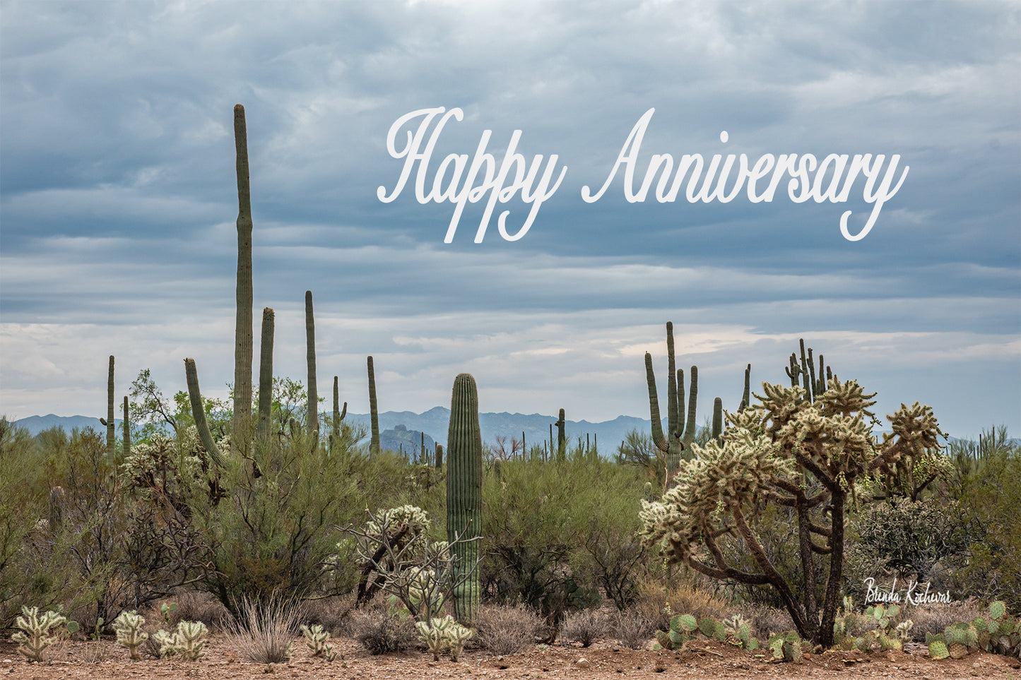 Desert Blooms Happy Anniversary Greeting Card