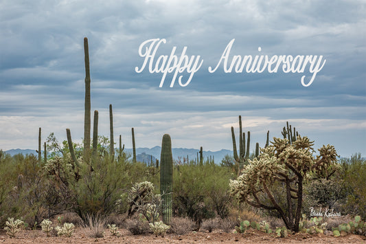 Desert Blooms Happy Anniversary Greeting Card