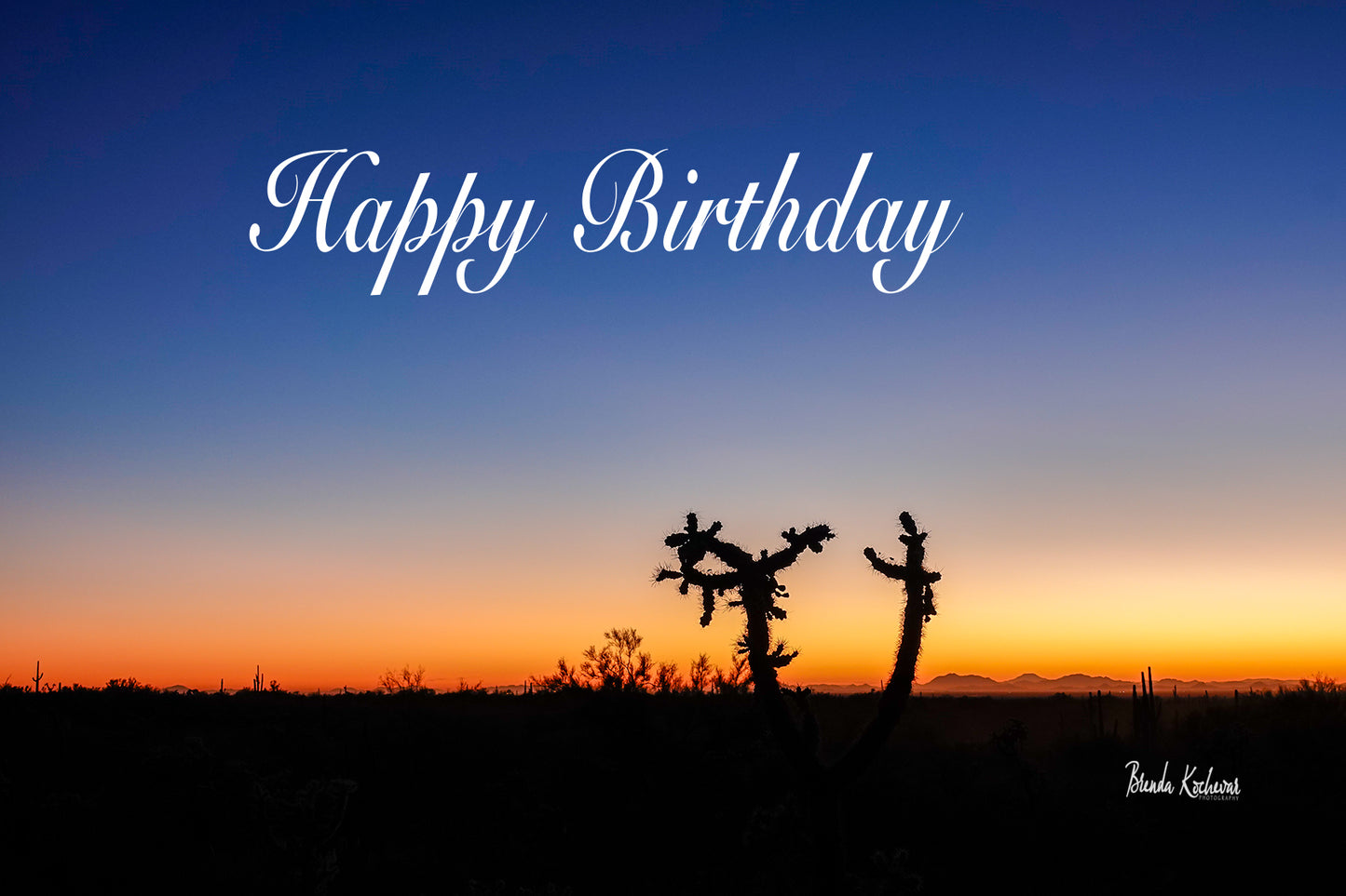 Cholla Sunset Happy Birthday Greeting Card