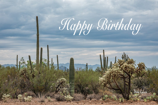 Desert Blooms Happy Birthday Greeting Card