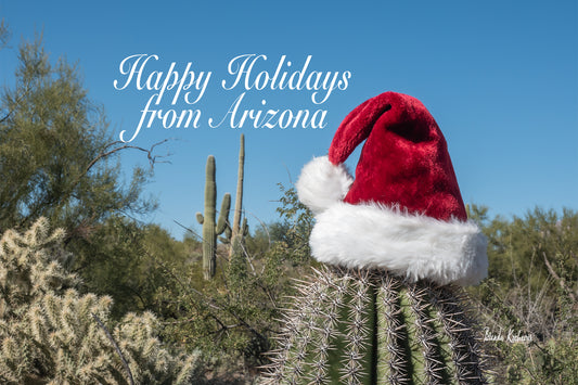 Arizona Christmas Photography Cards Box Set 6