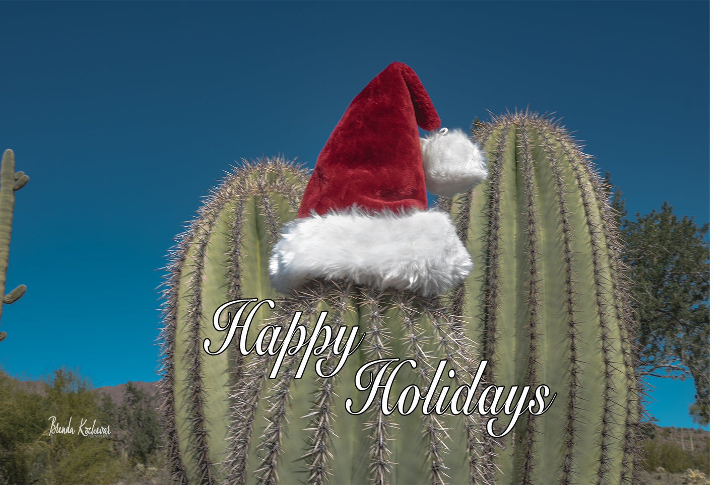 Happy Holidays Saguaro Hands Up Christmas Greeting Card