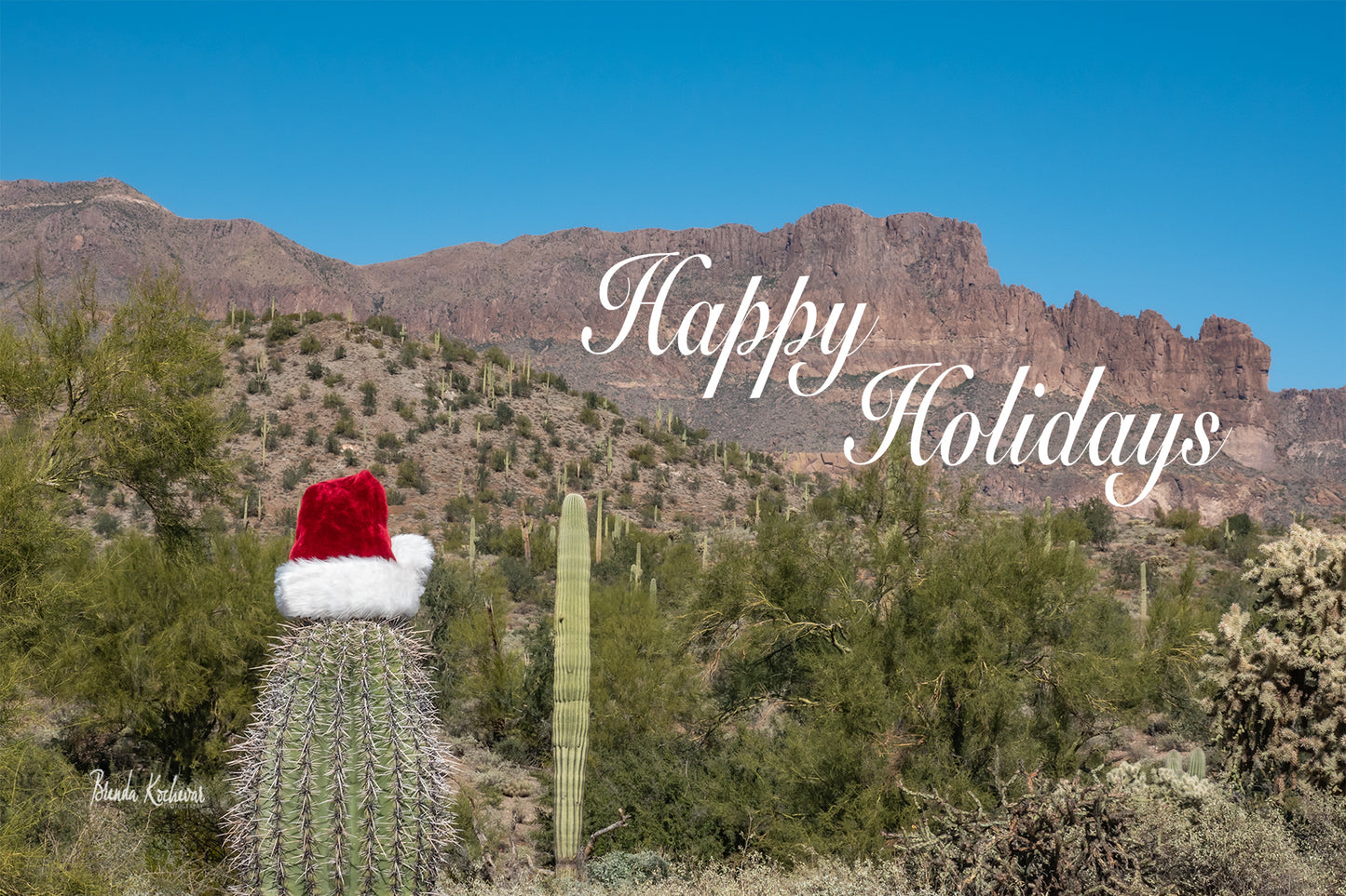 Happy Holidays Peralta Christmas Greeting Card