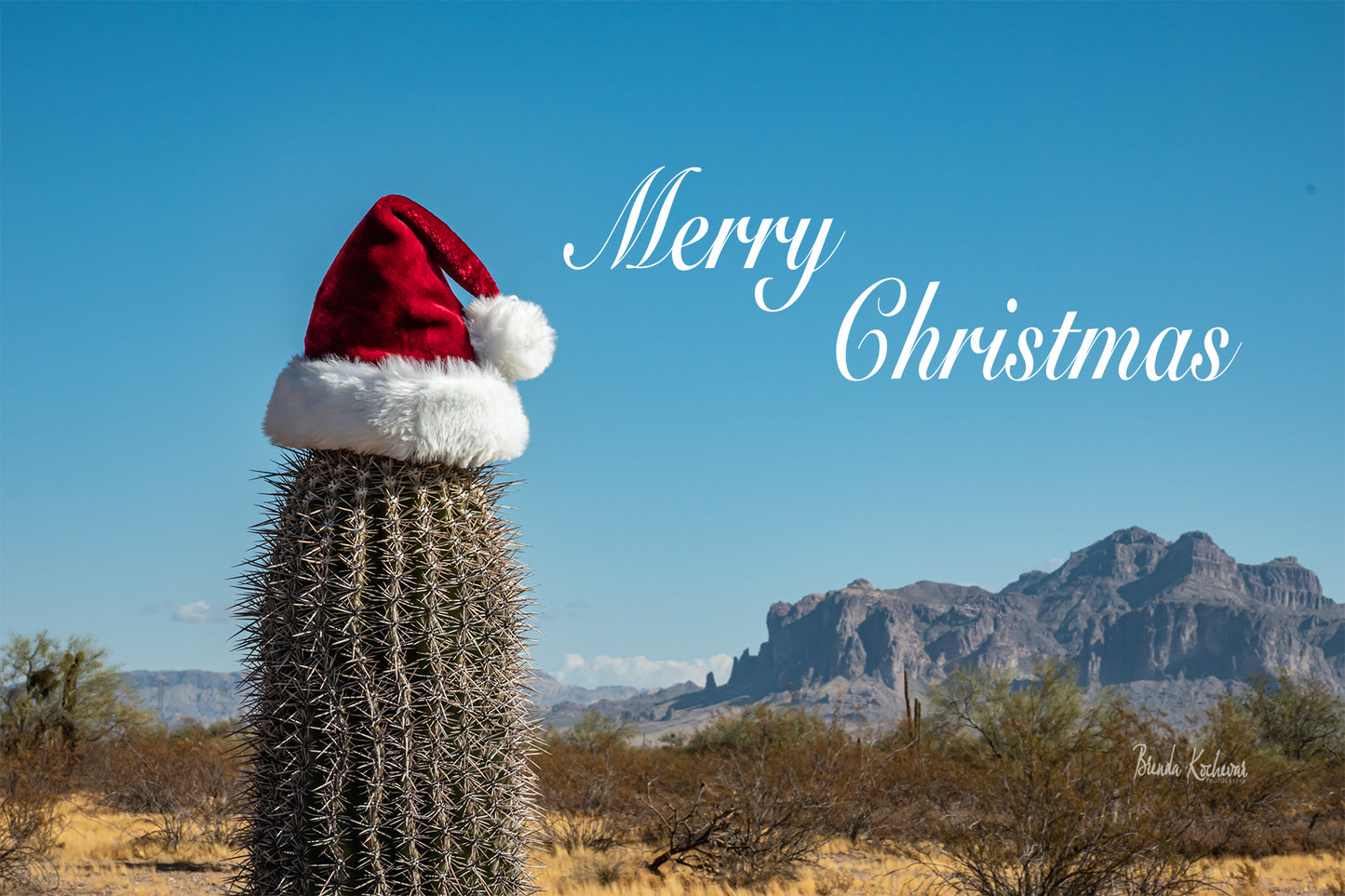 Merry Christmas in the Desert Greeting Card