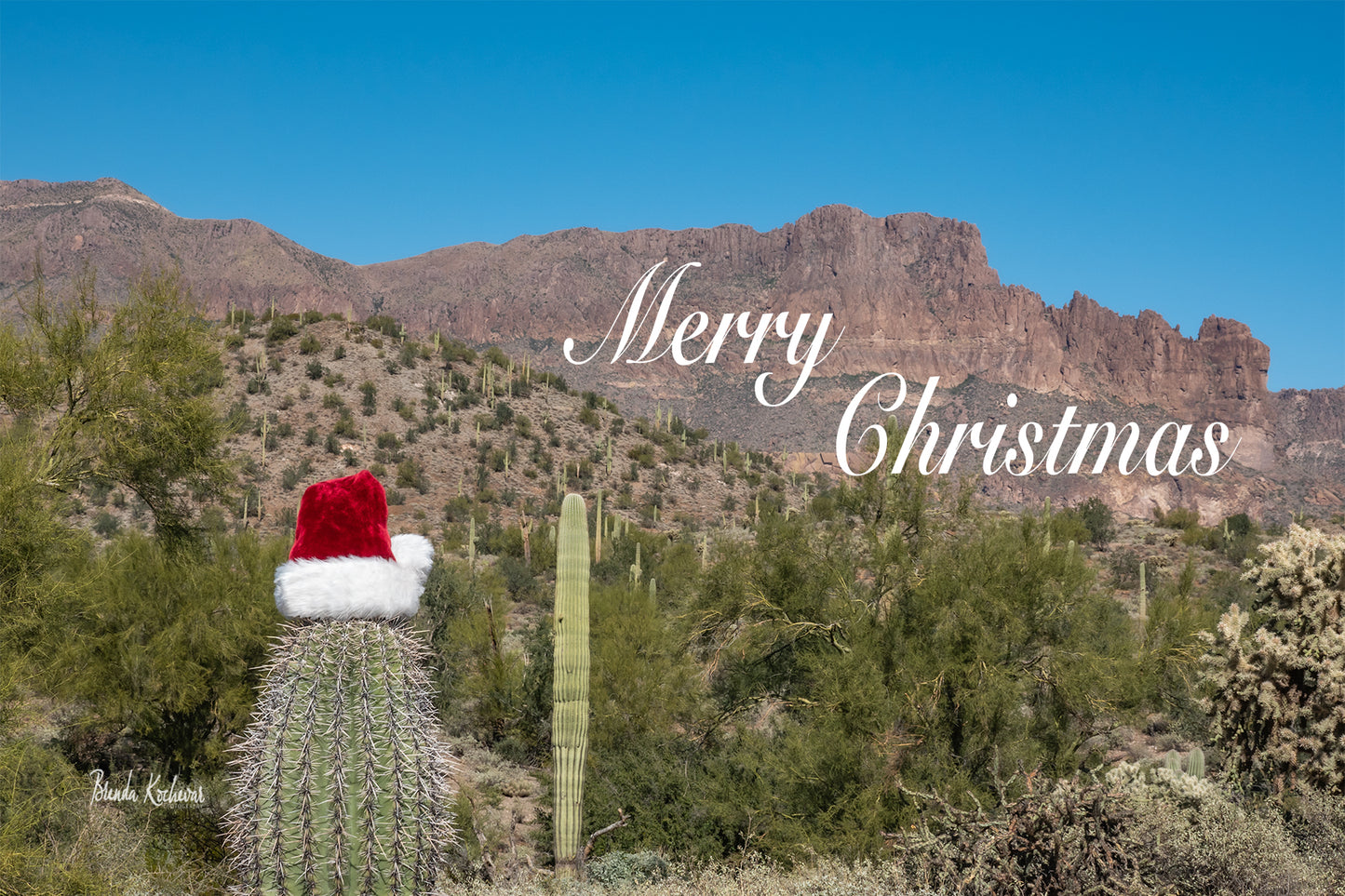 Merry Christmas Peralta Christmas Greeting Card