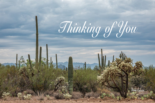 Desert Blooms Thinking of You Greeting Card