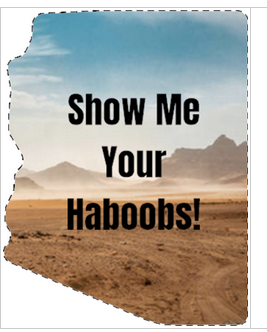 STI- Large Show Me Your Haboobs Sticker