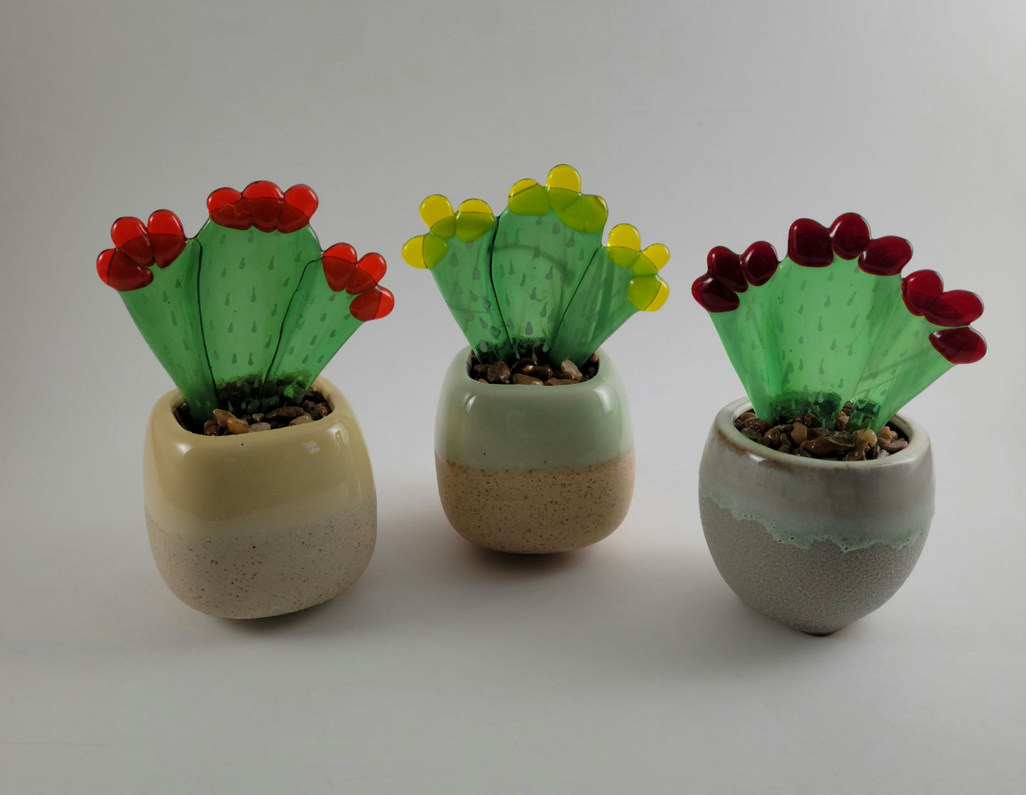 Succulents - 2.5 Tubular