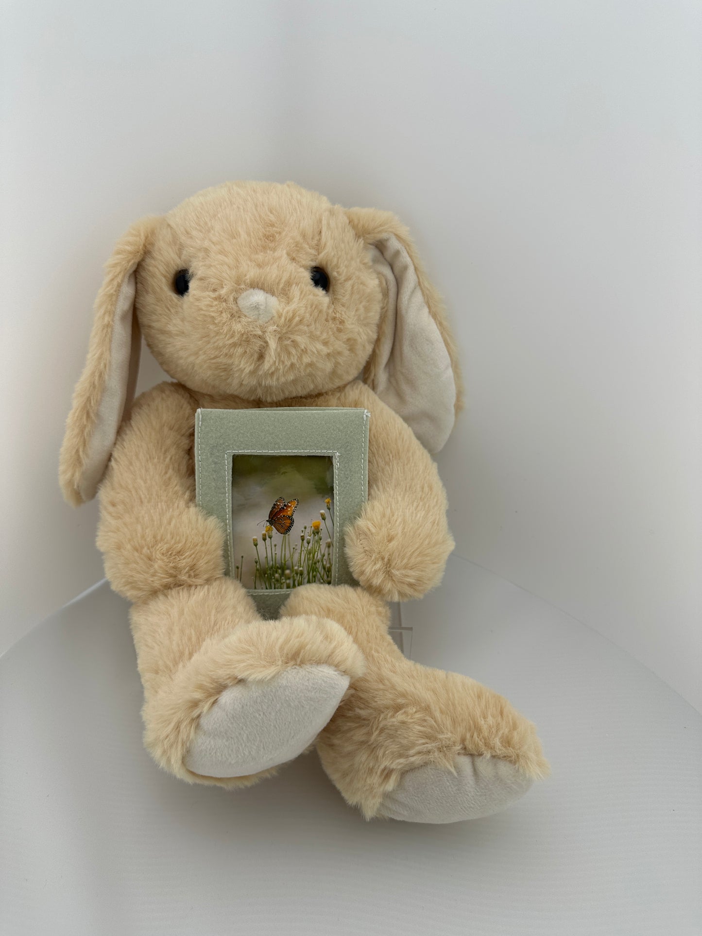 Bunny with Photograph of Butterfly