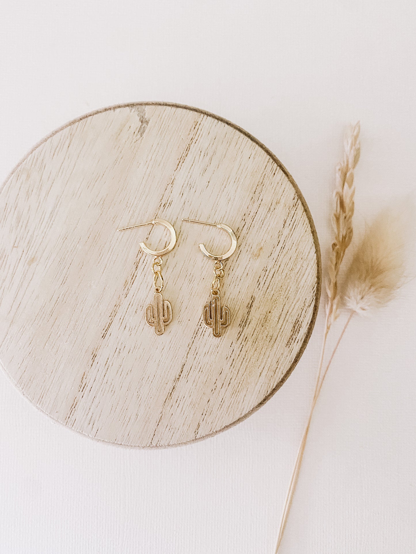 Cactus Huggies- DesertReign