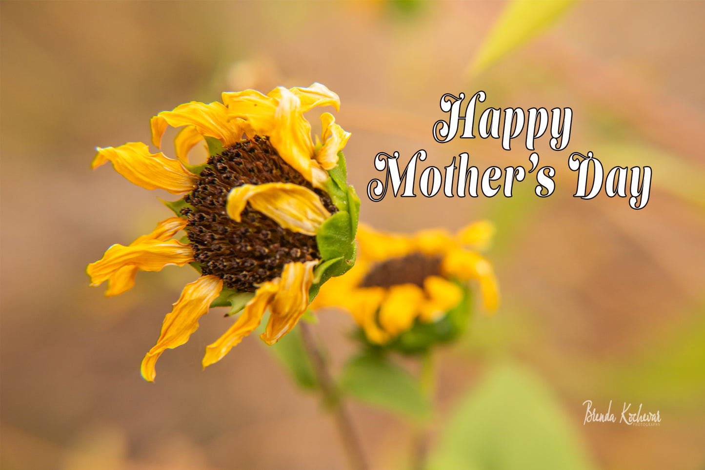 Wavy Sunflower Mother's Day Greeting Card