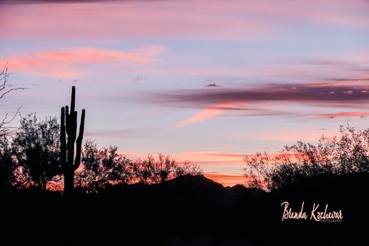 Desert Saguaro Sunset Greeting Card