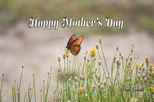 Monarch Butterfly Mother's Day Greeting Card & Earring Set